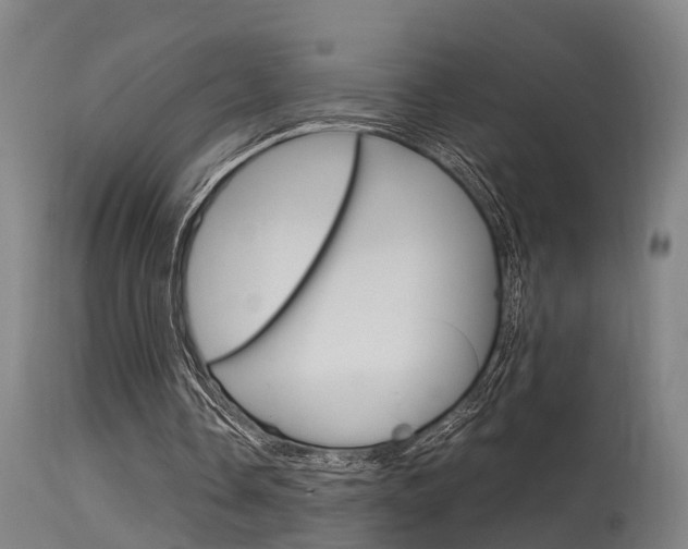 X0000115580338200911100959