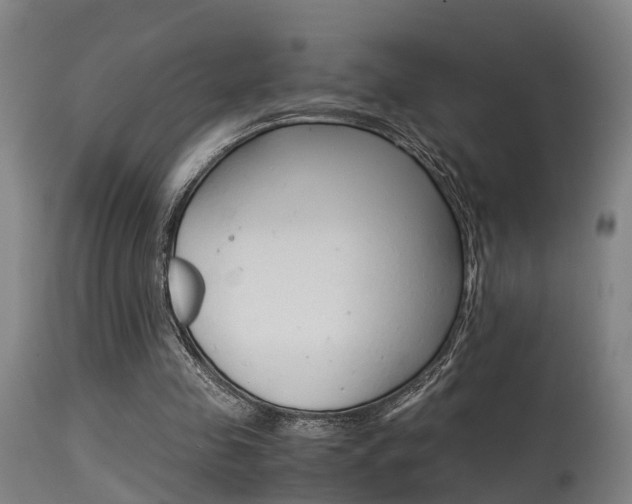 X0000115580341200911100959
