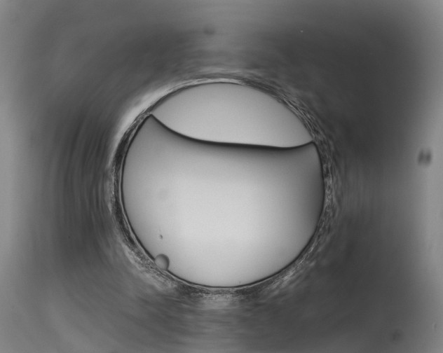 X0000115580342200911100959