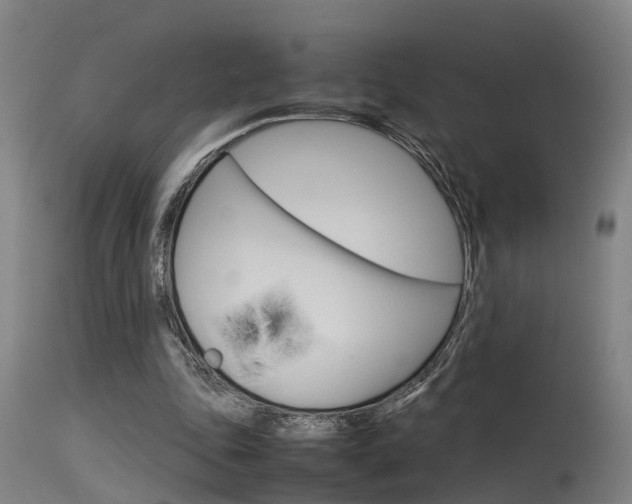 X0000115580343200911100959