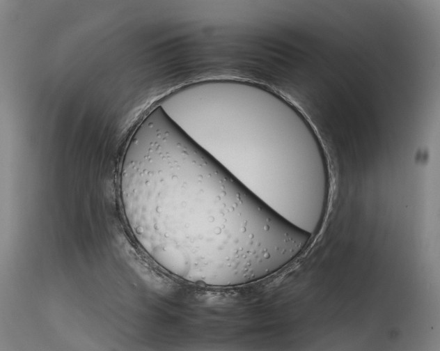 X0000115580345200911100959