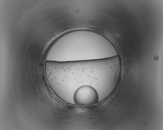 X0000115580346200911100959