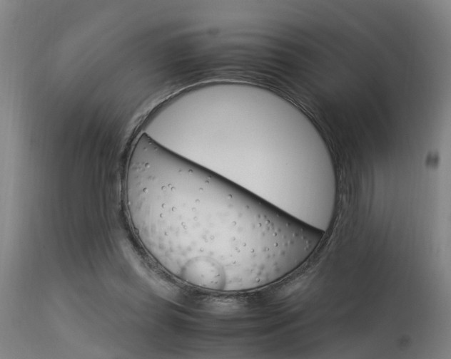 X0000115580349200911100959