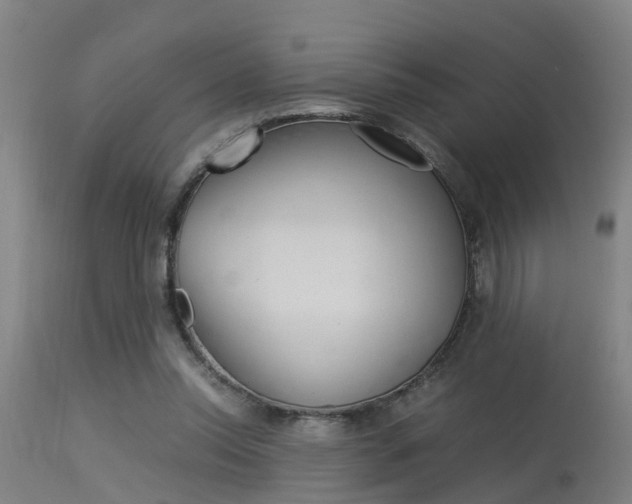 X0000115580350200911100959