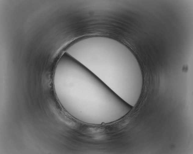 X0000115580351200911100959