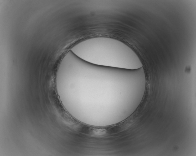 X0000115580355200911100959