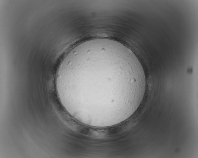 X0000115580359200911100959