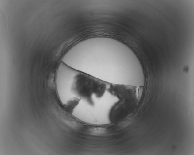 X0000115580361200911100959