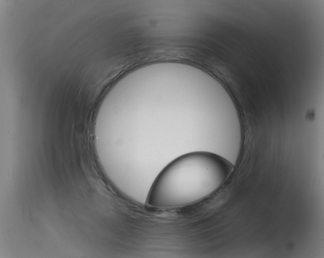 X0000115580362200911100959