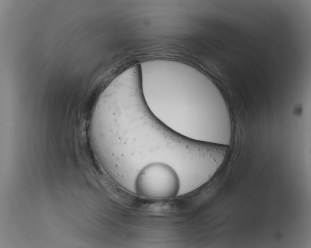 X0000115580366200911100959