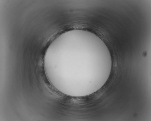 X0000115580367200911100959