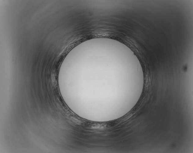 X0000115580377200911100959