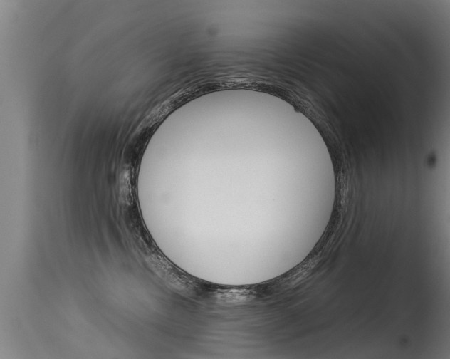 X0000115580378200911100959