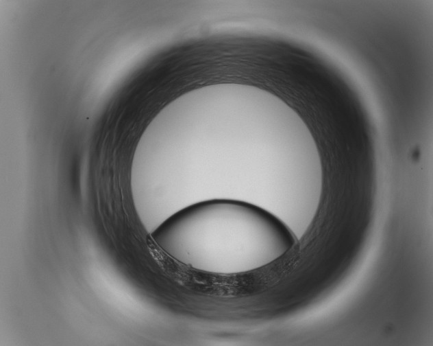 X0000115580382200911100959