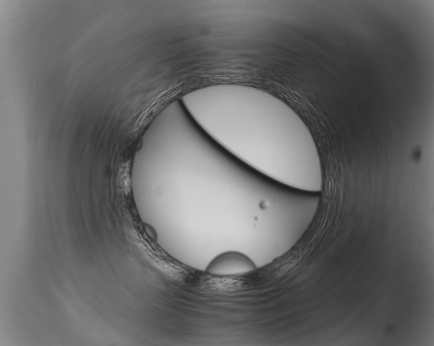 X0000115580383200911100959