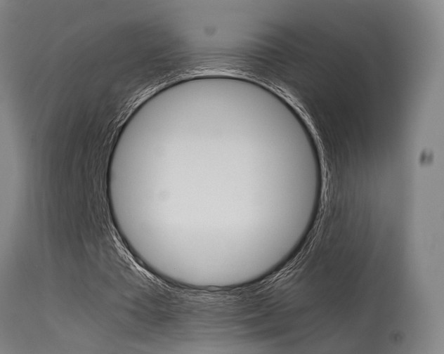 X0000115580385200911100959