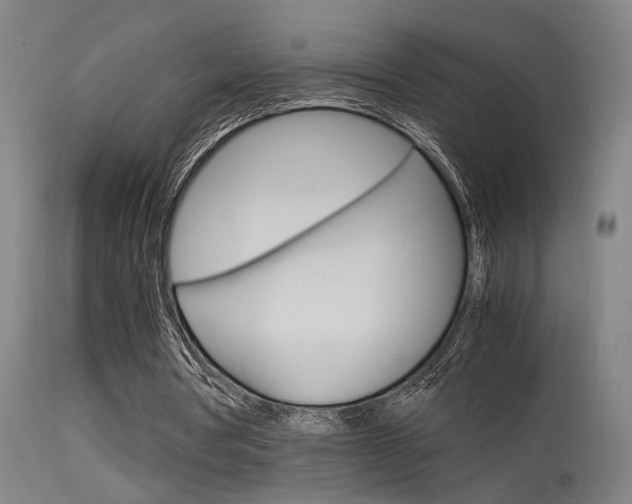 X0000115580386200911100959
