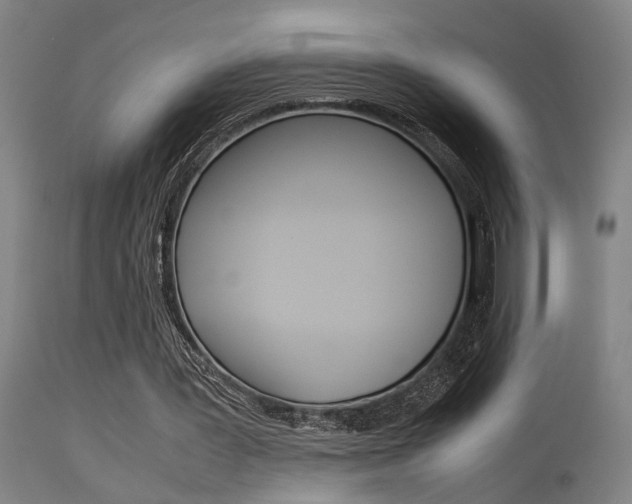 X0000115580387200911100959
