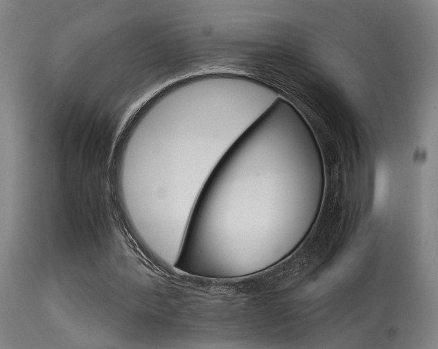 X0000115580388200911100959