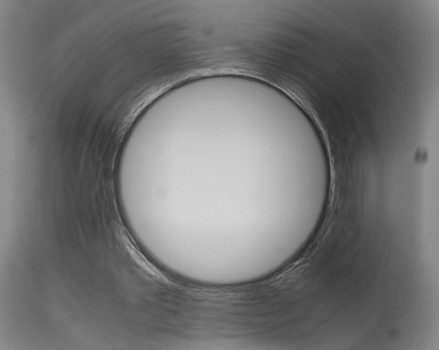 X0000115580389200911100959