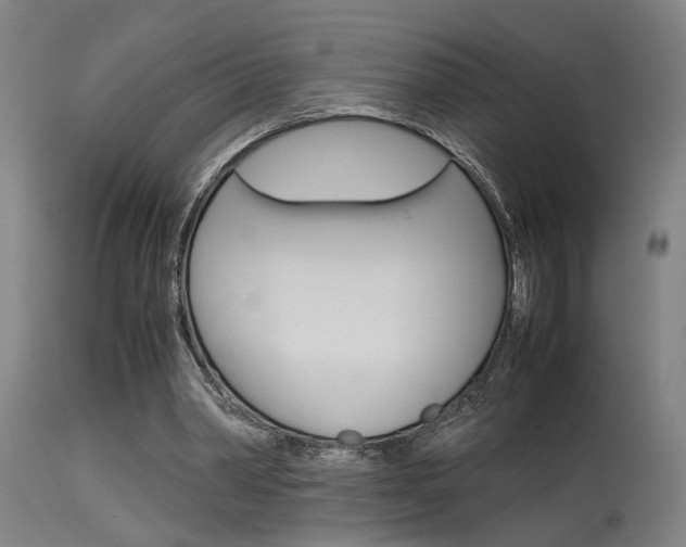 X0000115580390200911100959