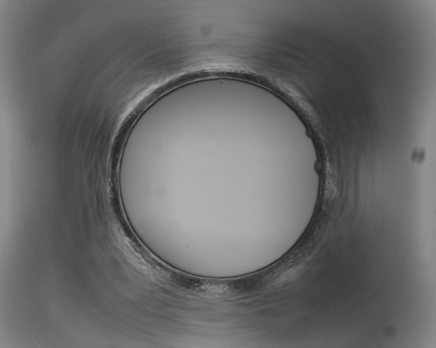 X0000115580391200911100959