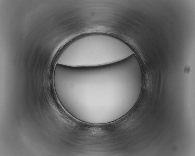 X0000115580392200911100959