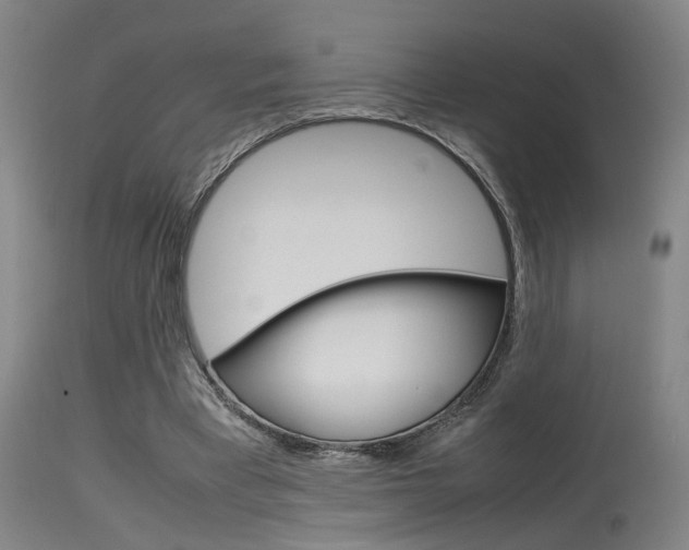 X0000115580393200911100959