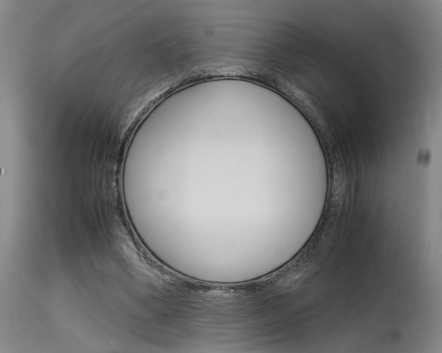 X0000115580394200911100959