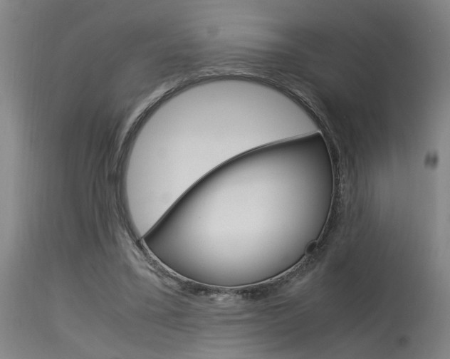 X0000115580395200911100959