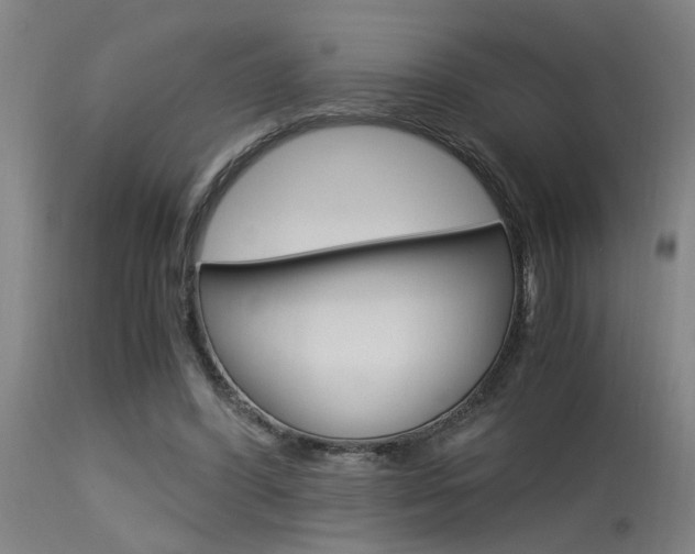 X0000115580396200911100959