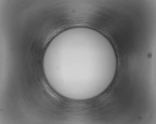 X0000115580397200911100959