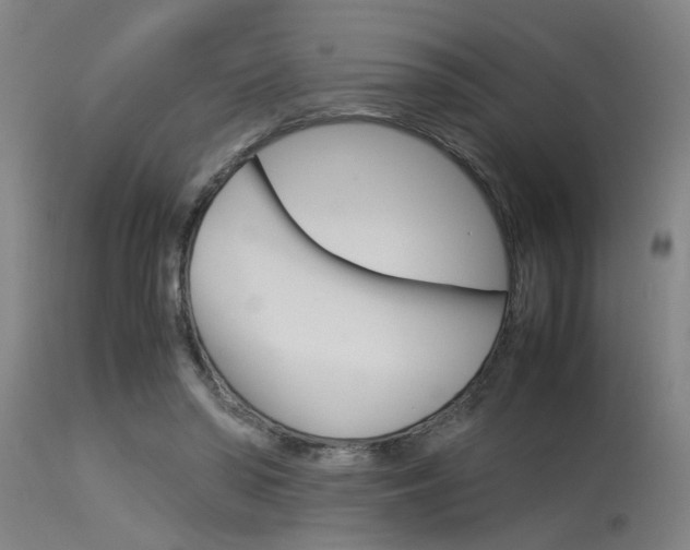 X0000115580398200911100959