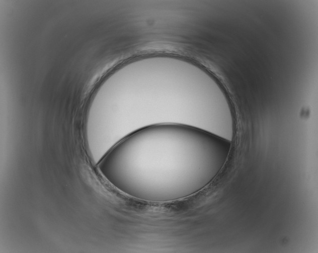 X0000115580399200911100958