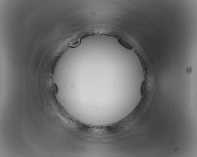 X0000115580401200911100958