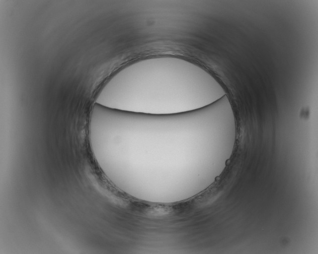 X0000115580402200911100958
