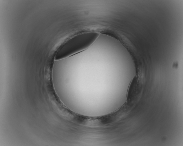 X0000115580403200911100958