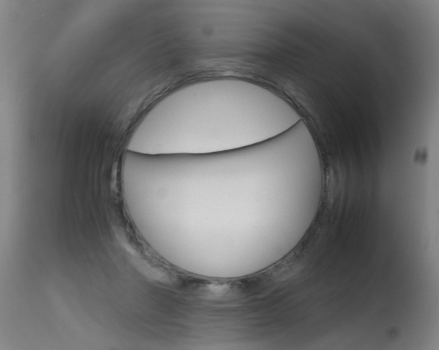 X0000115580406200911100958