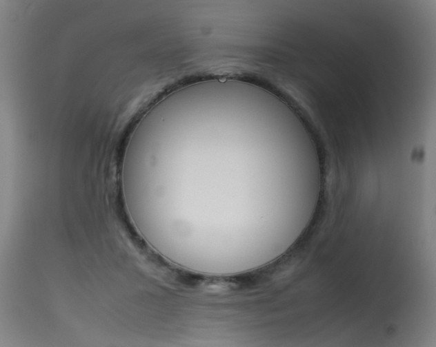 X0000115580407200911100958