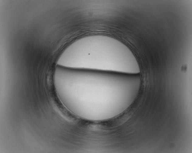 X0000115580408200911100958