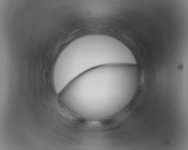 X0000115580409200911100958