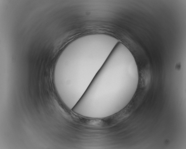 X0000115580410200911100958