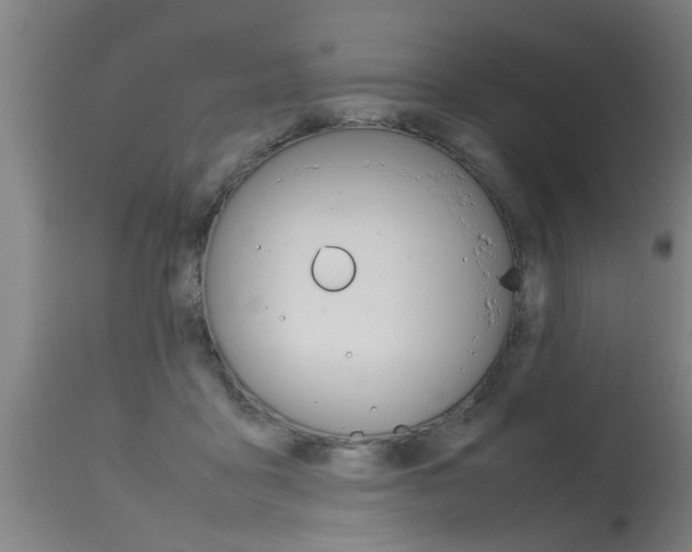 X0000115580411200911100958