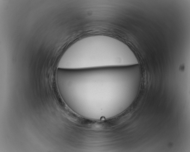 X0000115580412200911100958
