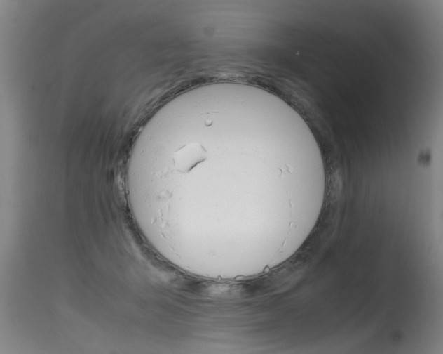 X0000115580415200911100958