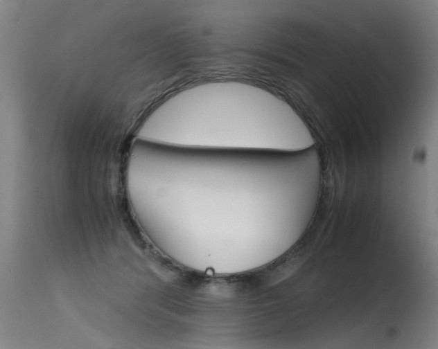 X0000115580416200911100958