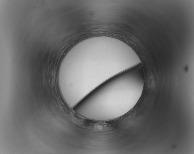 X0000115580420200911100958
