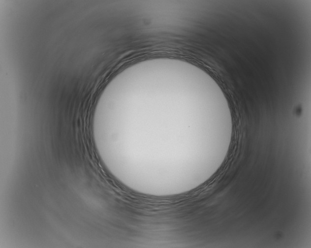 X0000115580421200911100958