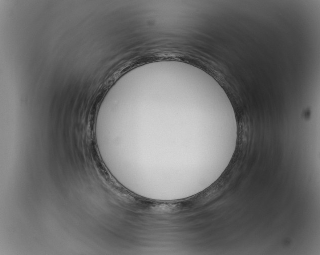 X0000115580422200911100958