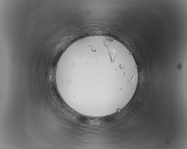 X0000115580423200911100958